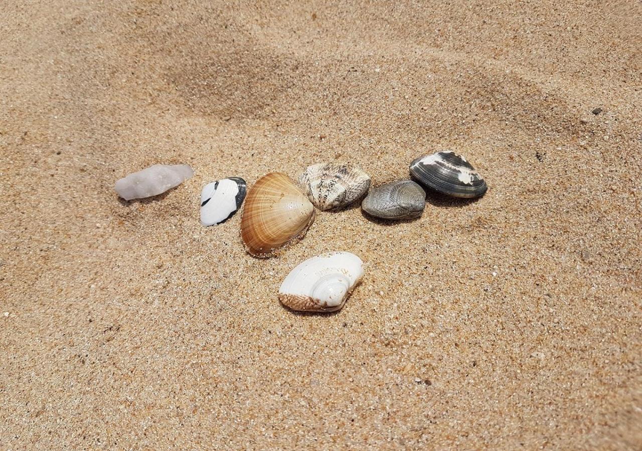 Вілла Seaside Minbak Косон Екстер'єр фото